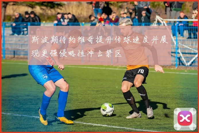 斯波期待约维奇提升传球速度并展现更强侵略性冲击禁区