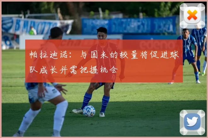 帕拉迪诺：与国米的较量将促进球队成长并需把握机会