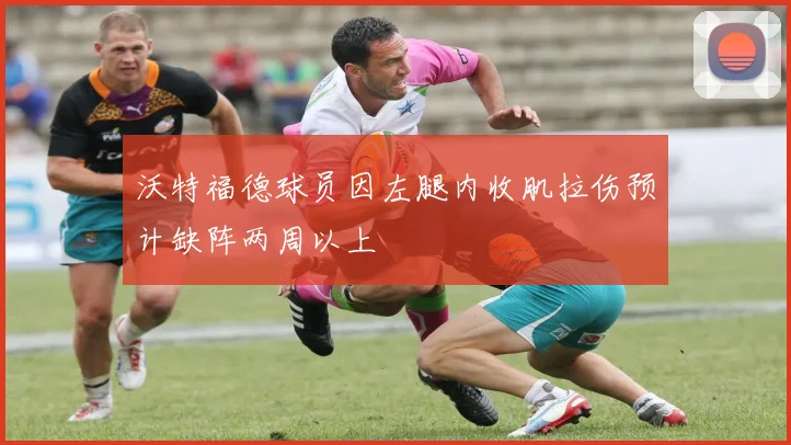 沃特福德球员因左腿内收肌拉伤预计缺阵两周以上